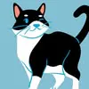 Gato Escondido Instagram